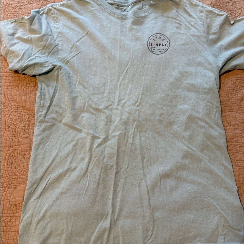 Patagonia graphic t shirt